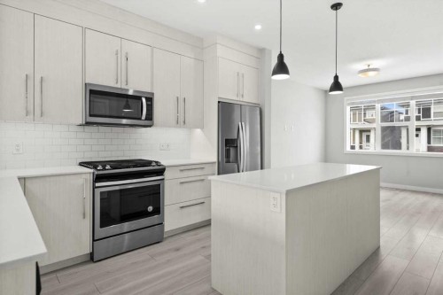 124 Red Embers Place Ne, Calgary, AB - Indoor Photo Showing Kitchen With Stainless Steel Kitchen With Upgraded Kitchen