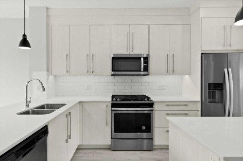 124 Red Embers Place Ne, Calgary, AB - Indoor Photo Showing Kitchen With Stainless Steel Kitchen With Double Sink With Upgraded Kitchen