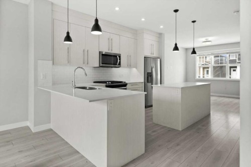 124 Red Embers Place Ne, Calgary, AB - Indoor Photo Showing Kitchen With Stainless Steel Kitchen With Upgraded Kitchen