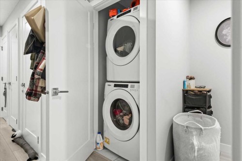 124 Red Embers Place Ne, Calgary, AB - Indoor Photo Showing Laundry Room