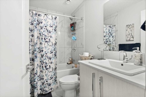 124 Red Embers Place Ne, Calgary, AB - Indoor Photo Showing Bathroom