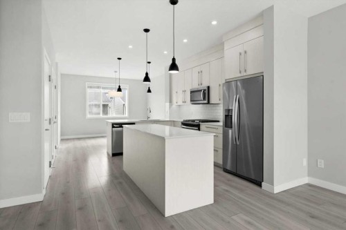 124 Red Embers Place Ne, Calgary, AB - Indoor Photo Showing Kitchen With Stainless Steel Kitchen With Upgraded Kitchen