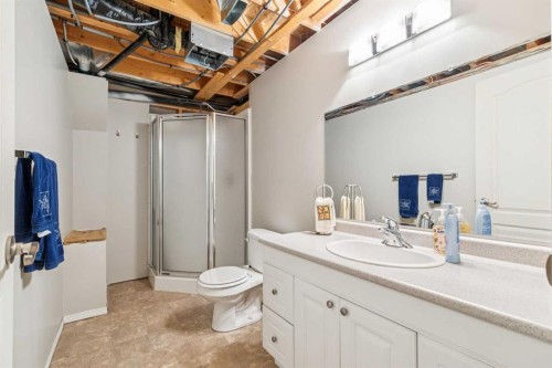53 Somervale Point Sw, Calgary, AB - Indoor Photo Showing Bathroom