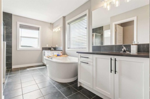 128 Sundown View, Cochrane, AB - Indoor Photo Showing Bathroom