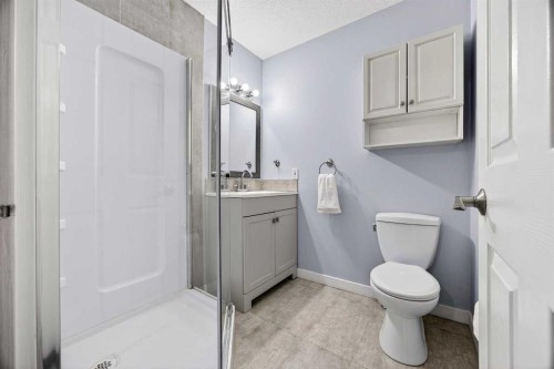 237 Willowbrook Close Nw, Airdrie, AB - Indoor Photo Showing Bathroom