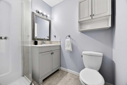 237 Willowbrook Close Nw, Airdrie, AB - Indoor Photo Showing Bathroom