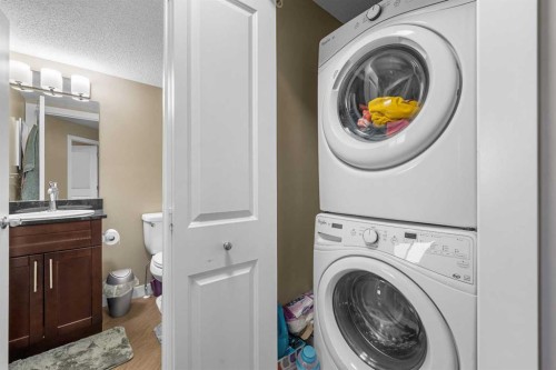 409-5 Saddlestone Way Ne, Calgary, AB - Indoor Photo Showing Laundry Room