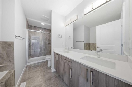 68 Cornerbrook View Ne, Calgary, AB - Indoor Photo Showing Bathroom