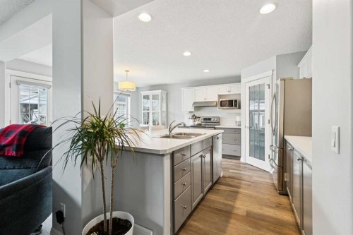 54 Chapala Grove Se, Calgary, AB - Indoor Photo Showing Kitchen With Double Sink