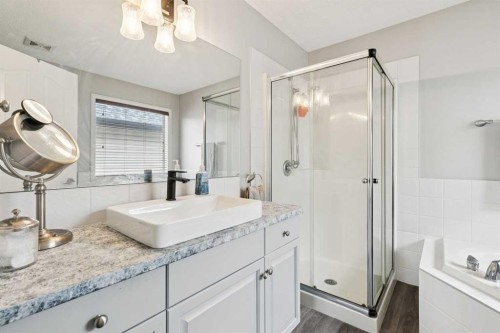 54 Chapala Grove Se, Calgary, AB - Indoor Photo Showing Bathroom