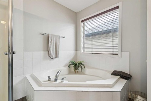 54 Chapala Grove Se, Calgary, AB - Indoor Photo Showing Bathroom