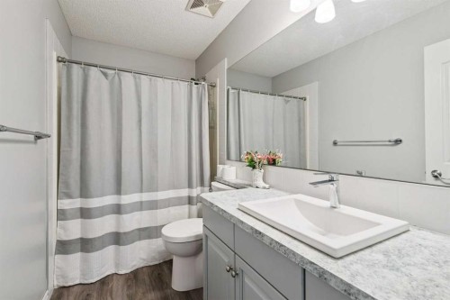 54 Chapala Grove Se, Calgary, AB - Indoor Photo Showing Bathroom
