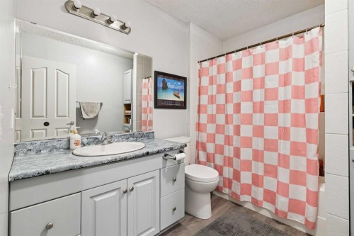 54 Chapala Grove Se, Calgary, AB - Indoor Photo Showing Bathroom