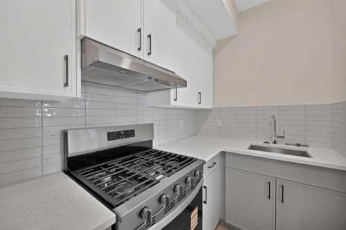 191 Homestead Common Ne, Calgary, AB - Indoor Photo Showing Kitchen With Upgraded Kitchen