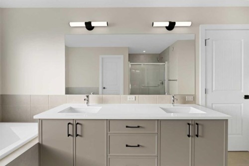 191 Homestead Common Ne, Calgary, AB - Indoor Photo Showing Bathroom