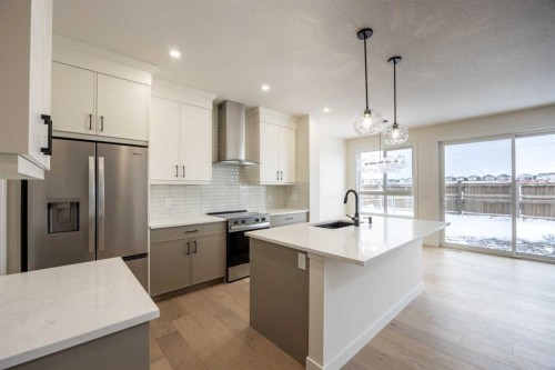 191 Homestead Common Ne, Calgary, AB - Indoor Photo Showing Kitchen With Upgraded Kitchen