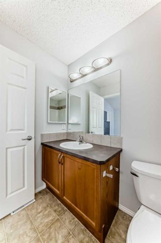 9275 Saddlebrook Drive Ne, Calgary, AB - Indoor Photo Showing Bathroom