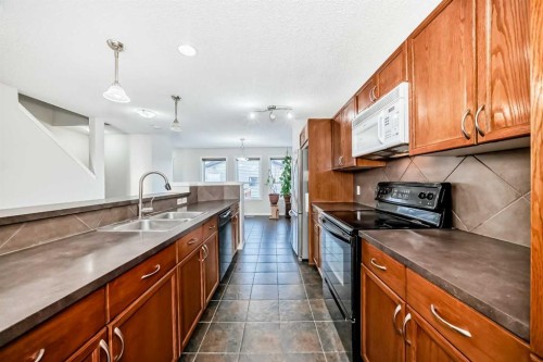 9275 Saddlebrook Drive Ne, Calgary, AB - Indoor Photo Showing Kitchen With Double Sink