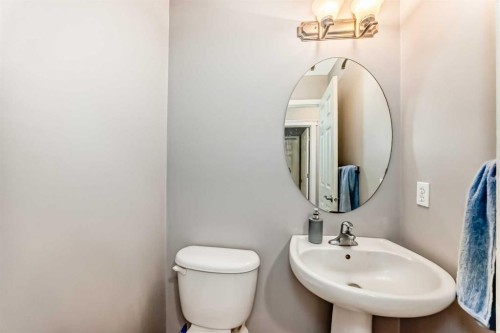 39 Saddleridge Close Ne, Calgary, AB - Indoor Photo Showing Bathroom