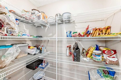 39 Saddleridge Close Ne, Calgary, AB - Indoor With Storage