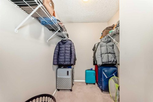39 Saddleridge Close Ne, Calgary, AB - Indoor With Storage