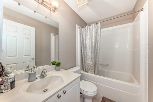 39 Saddleridge Close Ne, Calgary, AB - Indoor Photo Showing Bathroom