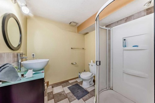 39 Saddleridge Close Ne, Calgary, AB - Indoor Photo Showing Bathroom
