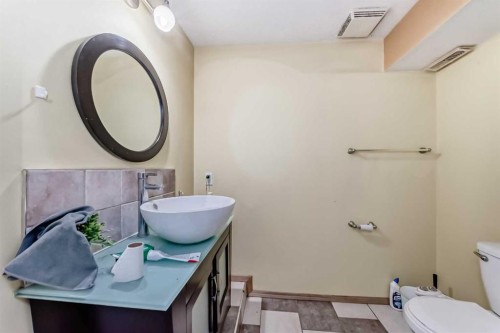 39 Saddleridge Close Ne, Calgary, AB - Indoor Photo Showing Bathroom