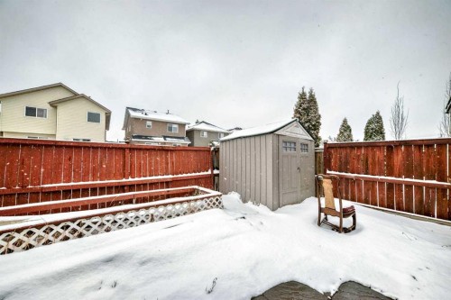 39 Saddleridge Close Ne, Calgary, AB - Outdoor