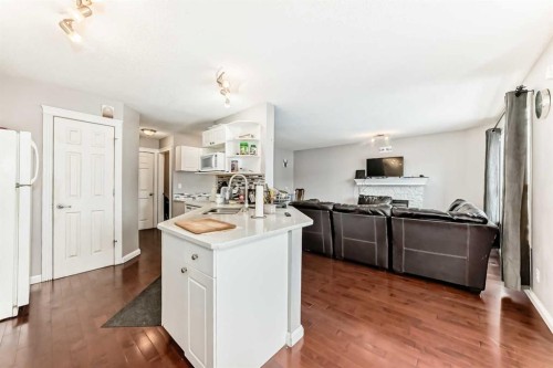 39 Saddleridge Close Ne, Calgary, AB - Indoor Photo Showing Kitchen With Double Sink