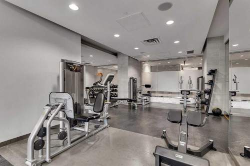 544-222 Riverfront Avenue Sw, Calgary, AB - Indoor Photo Showing Gym Room