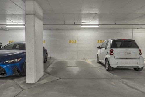 544-222 Riverfront Avenue Sw, Calgary, AB - Indoor Photo Showing Garage