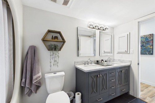 303-300 Meredith Road Ne, Calgary, AB - Indoor Photo Showing Bathroom