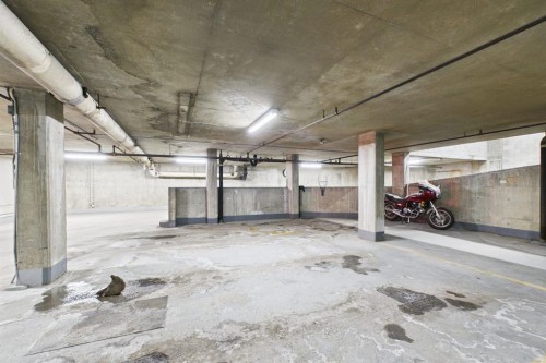 303-300 Meredith Road Ne, Calgary, AB - Indoor Photo Showing Garage