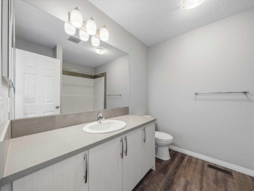89 Walgrove Rise Se, Calgary, AB - Indoor Photo Showing Bathroom