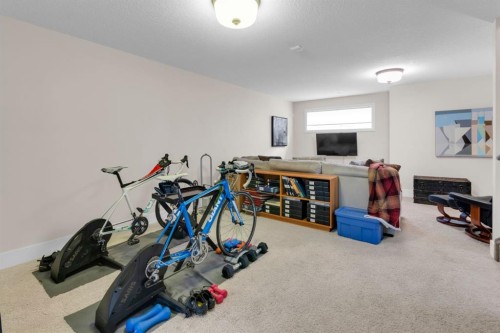 376 Quarry Park Boulevard Se, Calgary, AB - Indoor Photo Showing Gym Room