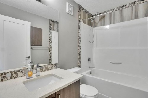 228-10 Westpark Link Sw, Calgary, AB - Indoor Photo Showing Bathroom