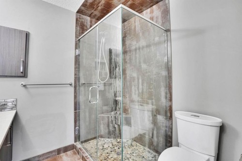 228-10 Westpark Link Sw, Calgary, AB - Indoor Photo Showing Bathroom