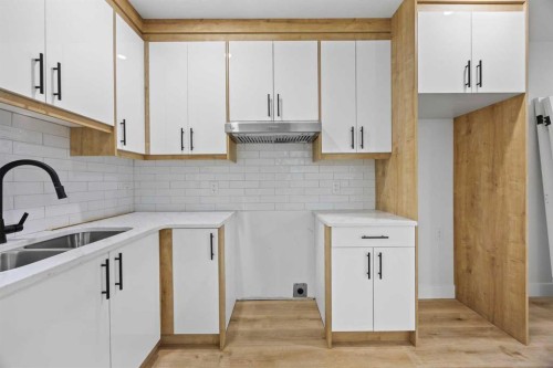 196 Saddlelake Manor Ne, Calgary, AB - Indoor Photo Showing Kitchen With Double Sink