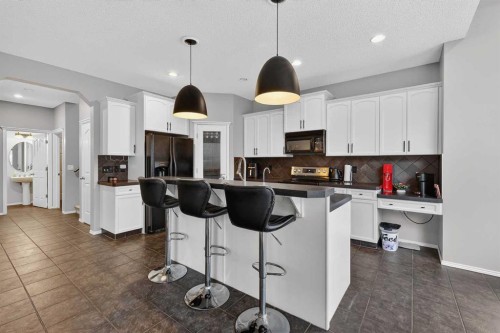 201 Autumn Circle Se, Calgary, AB - Indoor Photo Showing Kitchen With Upgraded Kitchen