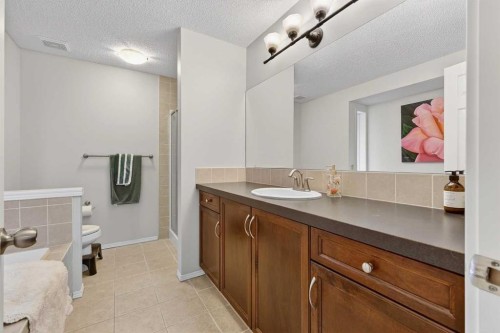 201 Autumn Circle Se, Calgary, AB - Indoor Photo Showing Bathroom