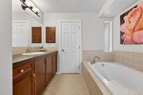 201 Autumn Circle Se, Calgary, AB - Indoor Photo Showing Bathroom