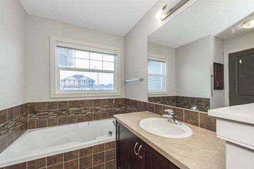 124 Evanscove Manor Nw, Calgary, AB - Indoor Photo Showing Bathroom