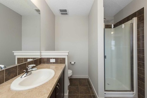 124 Evanscove Manor Nw, Calgary, AB - Indoor Photo Showing Bathroom