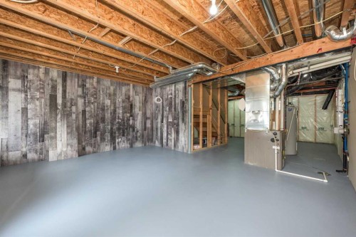 124 Evanscove Manor Nw, Calgary, AB - Indoor Photo Showing Basement