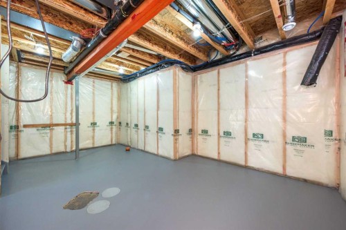 124 Evanscove Manor Nw, Calgary, AB - Indoor Photo Showing Basement