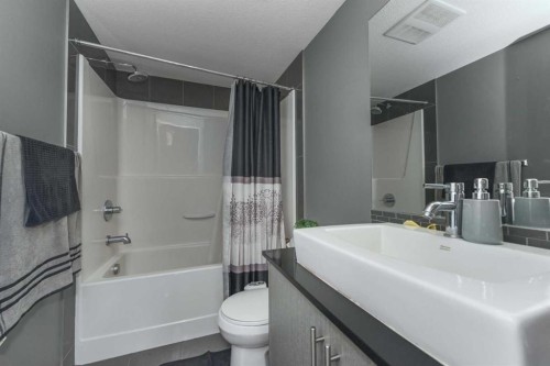 1404-240 Skyview Ranch Road Ne, Calgary, AB - Indoor Photo Showing Bathroom