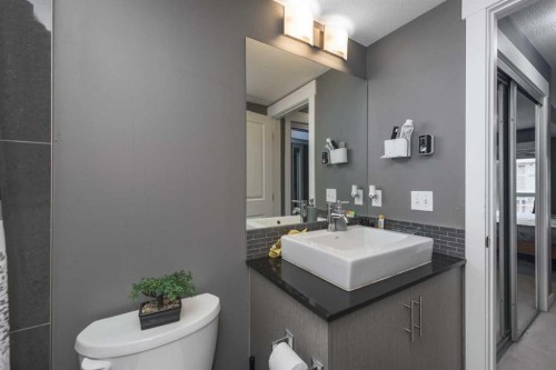1404-240 Skyview Ranch Road Ne, Calgary, AB - Indoor Photo Showing Bathroom