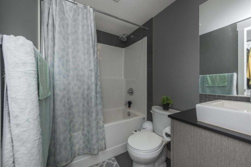 1404-240 Skyview Ranch Road Ne, Calgary, AB - Indoor Photo Showing Bathroom