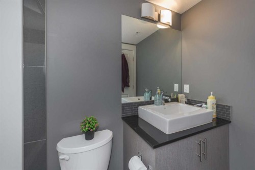 1404-240 Skyview Ranch Road Ne, Calgary, AB - Indoor Photo Showing Bathroom